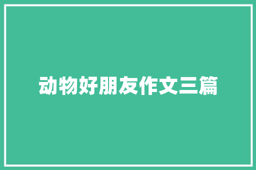 新能源车之都,深圳,新能源汽车的性价比之选 新能源车之都,深圳,新能源汽车的性价比之选